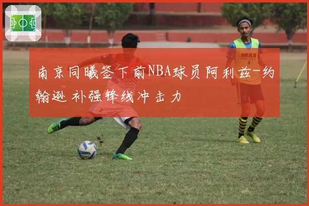 南京同曦签下前NBA球员阿利兹-约翰逊 补强锋线冲击力
