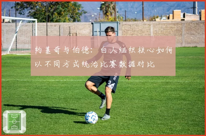 约基奇与伯德:白人组织核心如何以不同方式统治比赛数据对比